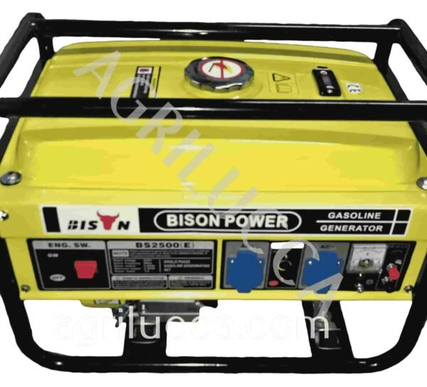 alt=Generatore BISON POWER BS2500E
